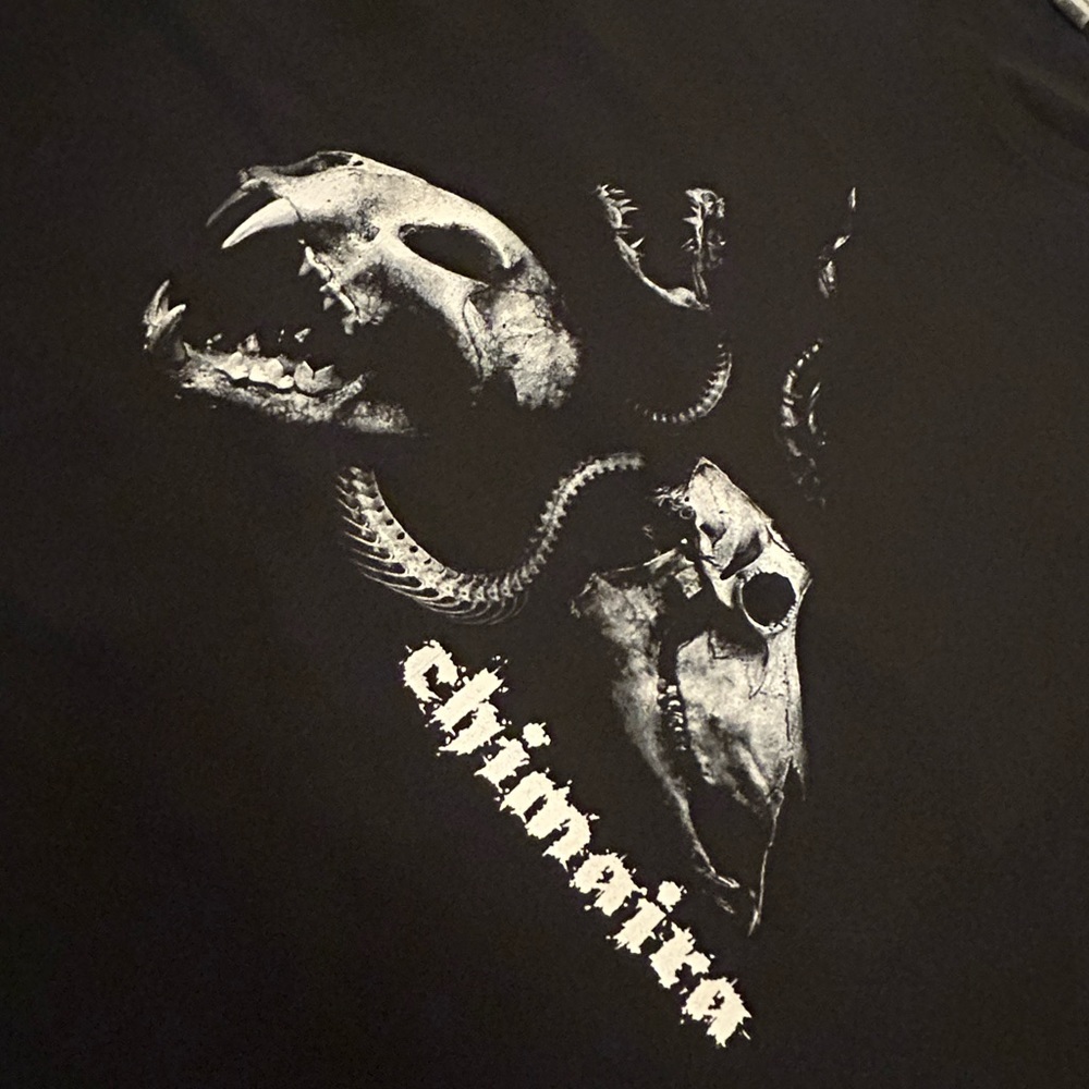 Chimaira Band T Shirt Excellent condition